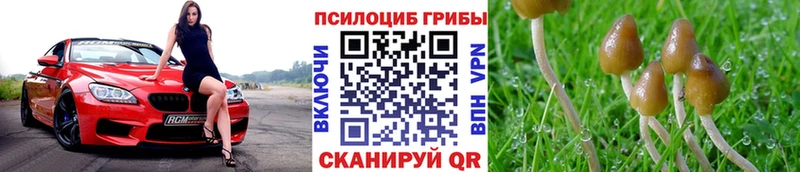 hydra маркетплейс  Березники  Галлюциногенные грибы Psilocybine cubensis 